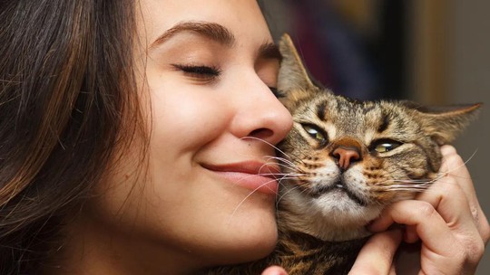 Cat sitter: a profissão para quem ama gatos