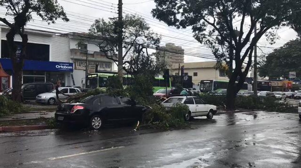 Chuva forte derruba Ã¡rvores e provoca estragos em SÃ£o JosÃ©, SP â€” Foto: Alexandre Xavier