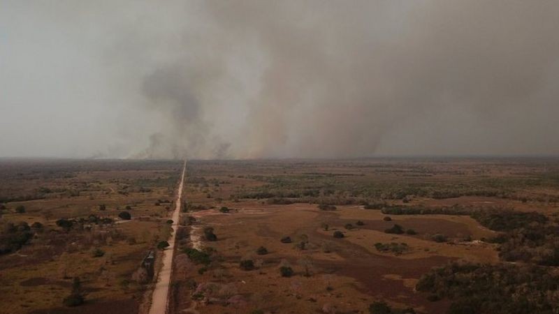 Incêndio no Pantanal em foto de 2020; 