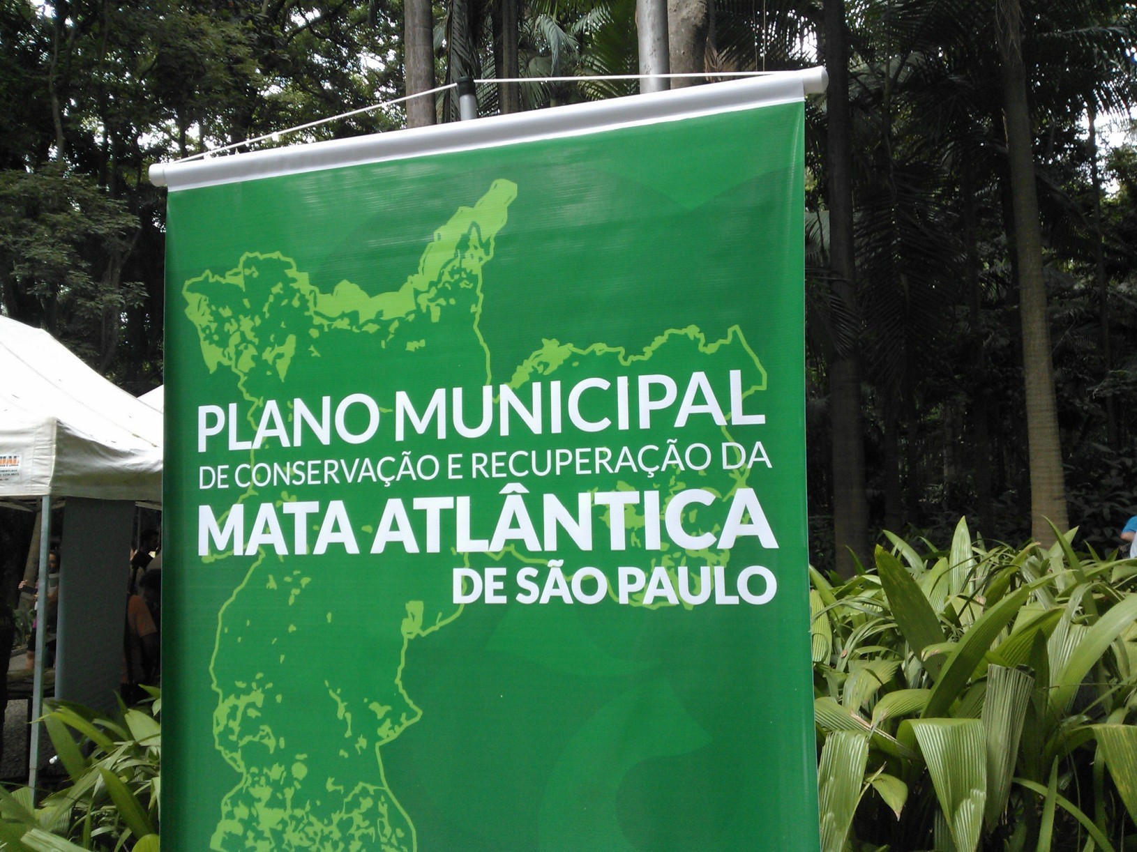 prefeitura_plano_diretor_mata_atlantica_sos (Foto: Editora Globo/Rennan A. Julio)
