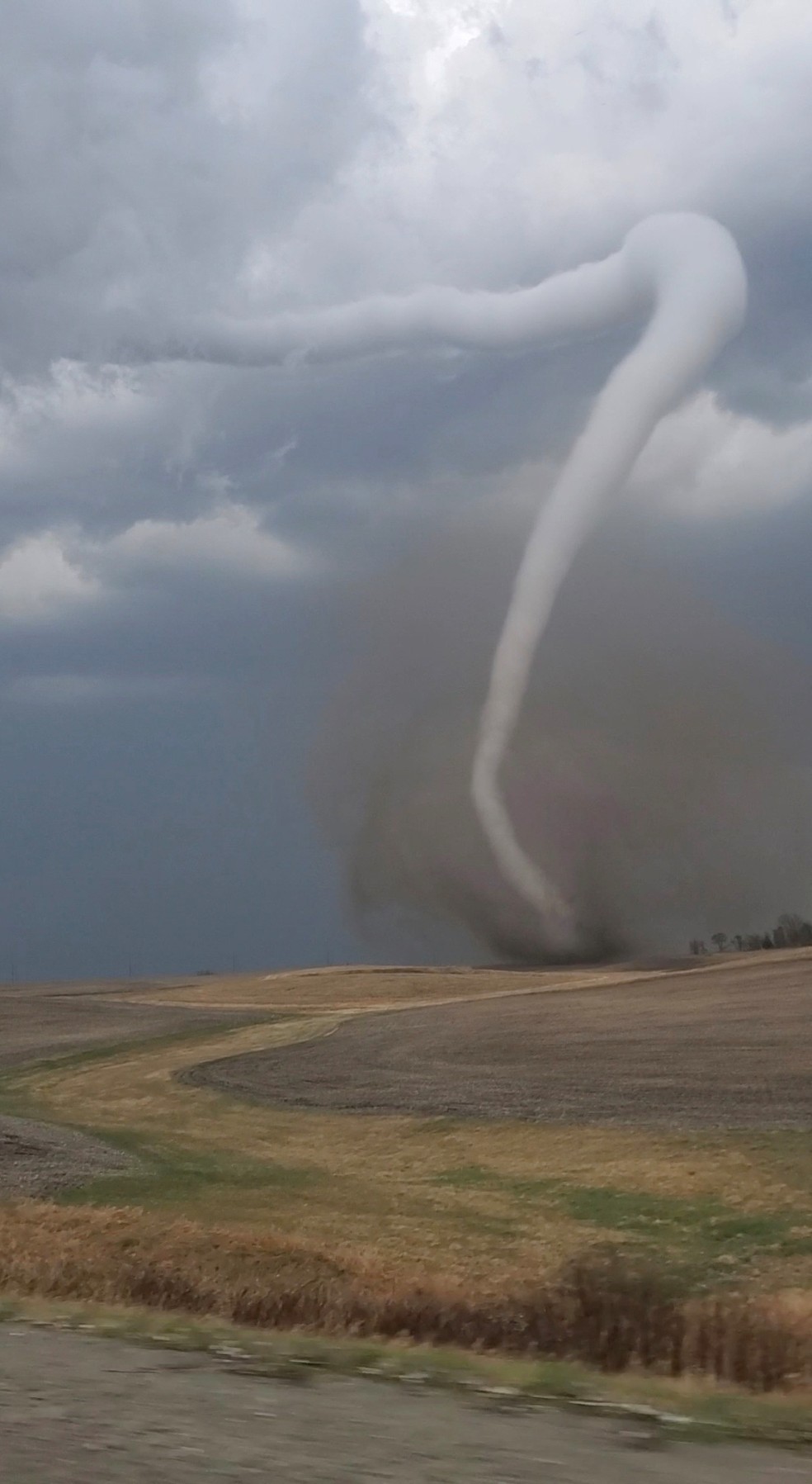 Tornado no estado do Missouri, nos EUA, deixa cinco mortos
