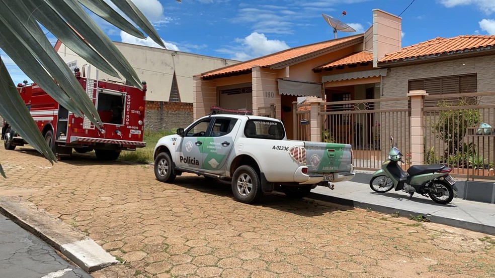 Onça-parda apareceu em residência em Presidente Venceslau nesta segunda-feira (15) — Foto: Bill Paschoalotto/TV Fronteira