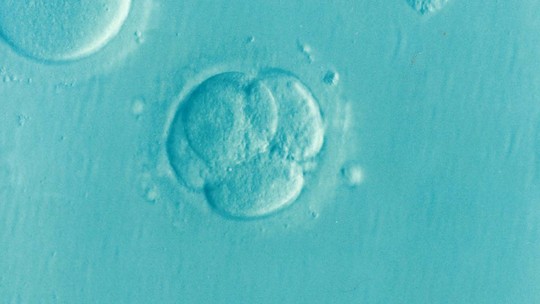 Fundação da Holanda processa doador de esperma que teria tido 550 filhos
