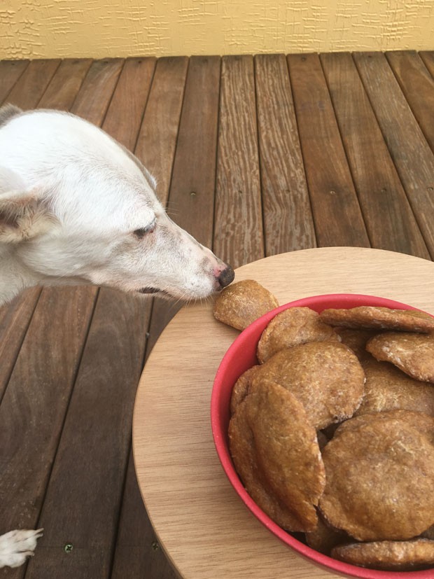 Receita de cookie para pets leva amendoim e banana (Foto: Divulgação)