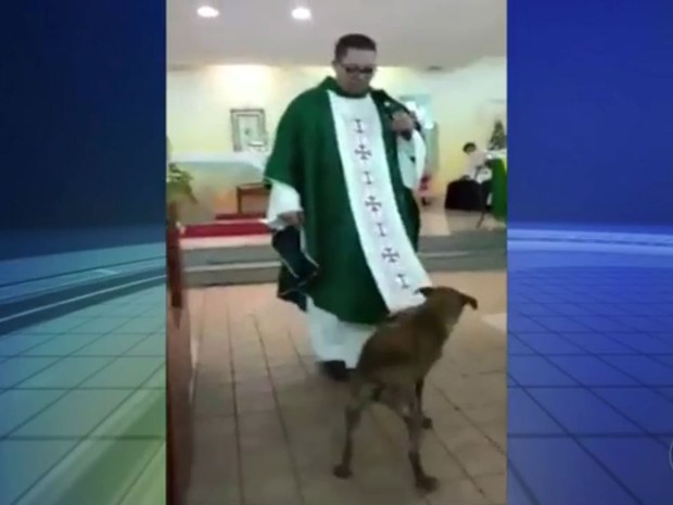 Cão brincou com vestimenta do frei durante missa (Foto: Reprodução / TV TEM)