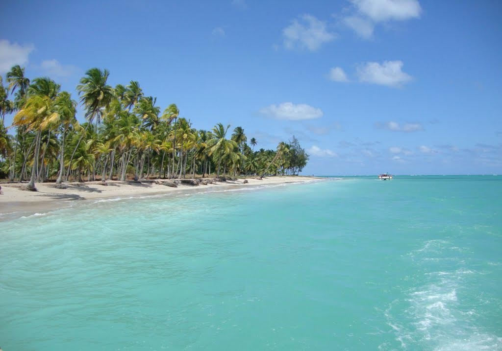 10 praias desertas no Brasil para fugir da aglomeração (Foto: Divulgação)