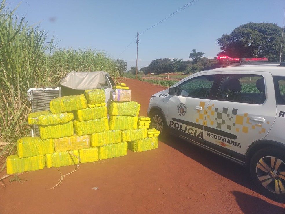 Casal transportava carregamento de maconha na Rodovia Francisco Gabriel da Mota, a SP-266, em Cândido Mota (SP) — Foto: Polícia Rodoviária/Divulgação