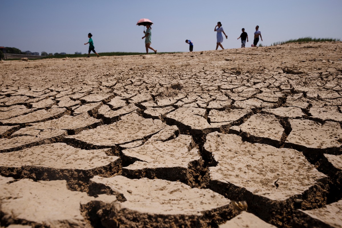 Relacione A Seca A Algum Aspecto Da Crise Climática