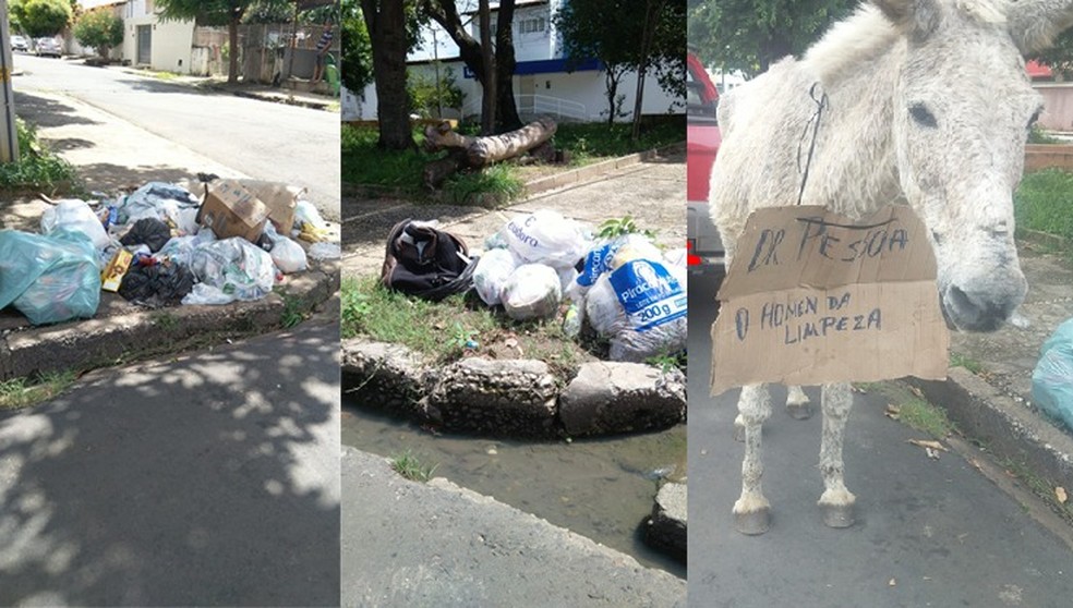 Após paralisação, coleta de lixo em Teresina deve ser regularizada nesta segunda (17); moradores reclamam de acúmulo de materiais — Foto: Márcio Lopes