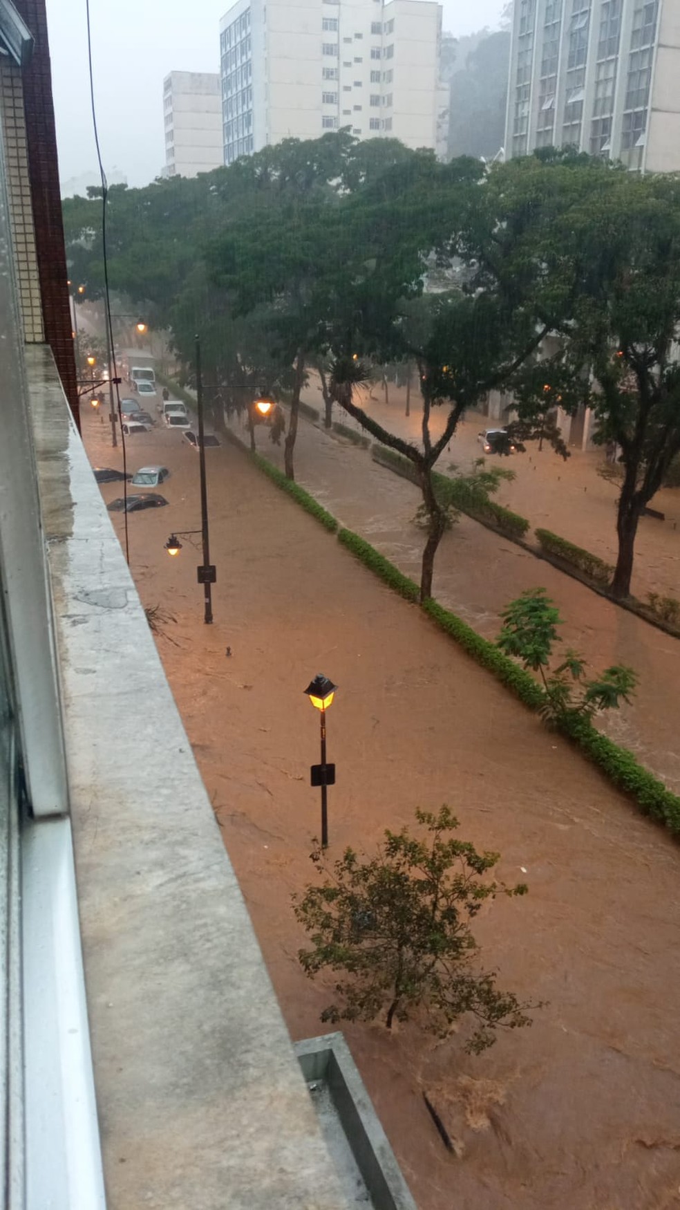 Carros ficaram submersos no Centro de Petrópolis nesta terça-feira (15) — Foto: Reprodução redes sociais