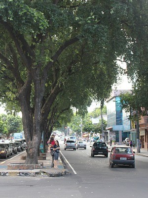 Ruas mais arborizadas estão no Centro da cidade (Foto: Tiago Melo/G1)