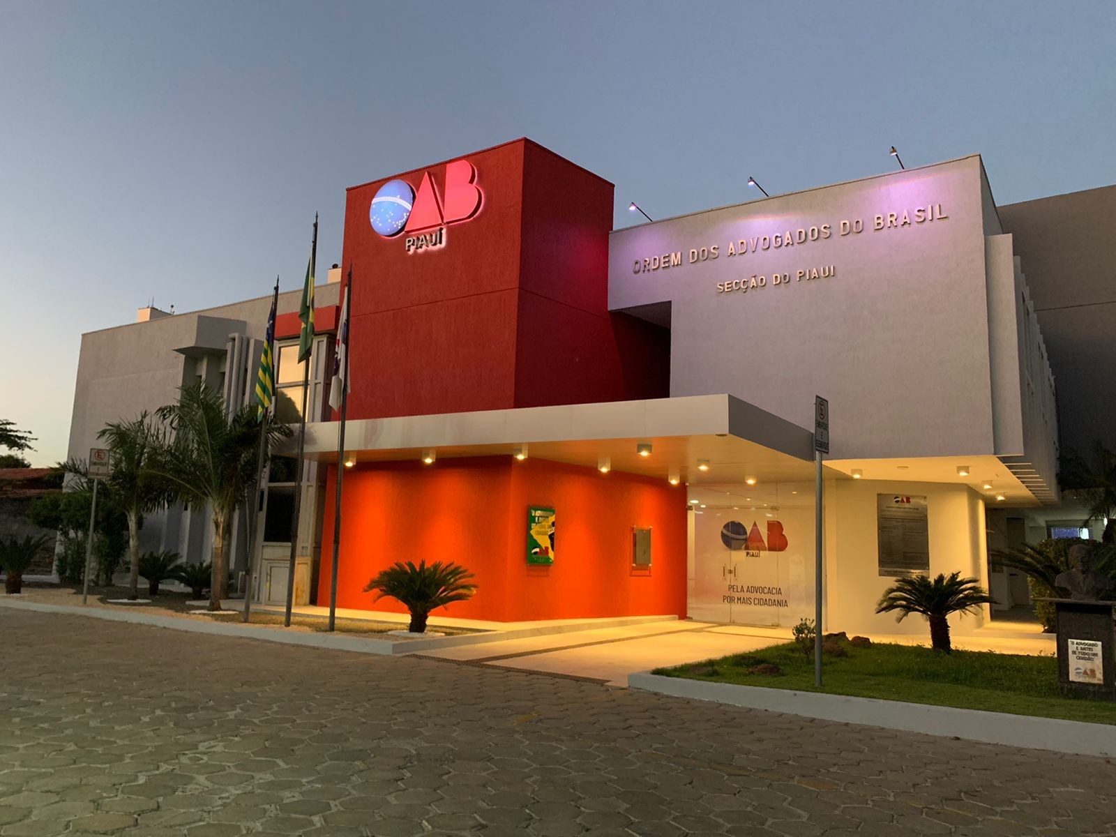 OAB faz campanha para arrecadar ração e materiais de limpeza para abrigos de animais em Teresina