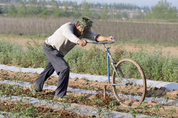 Li Chengsuo, de 63 anos, criou uma máquina usando parte de uma bicicleta para lavrar a terra (Foto: China Daily/Reuters)