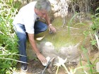 Projeto recupera 55 nascentes em ação contra a seca no Sertão de AL
 