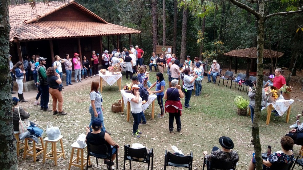 Atividades no horto de Tupi em Piracicaba serão gratuitas — Foto: Divulgação/Prefeitura municipal de Piracicaba