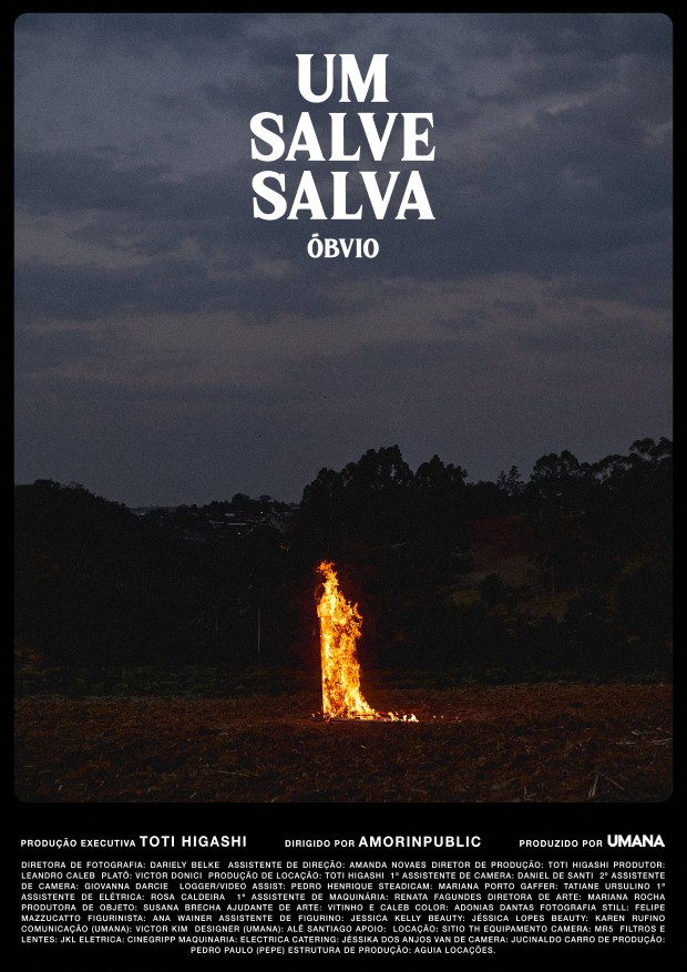 Poster oficila de Um Salve Salva (Foto: Divulgação)