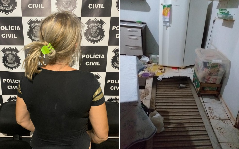 Mulher foi presa, confessou o crime e colocou a culpa na bebida; ela arrombou porta da residência — Foto: Polícia Civil/Divulgação