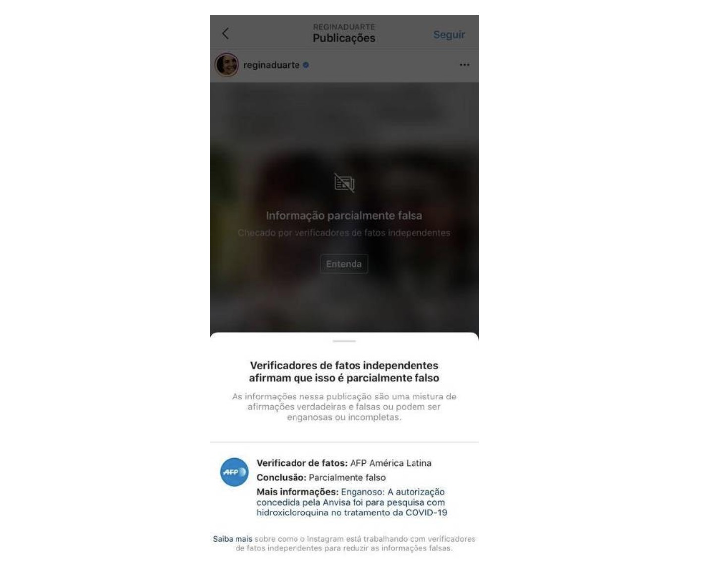 Instagram coloca aviso de informação parcialmente falsa sobre post de Regina Duarte (Foto: Reprodução/Instagram)