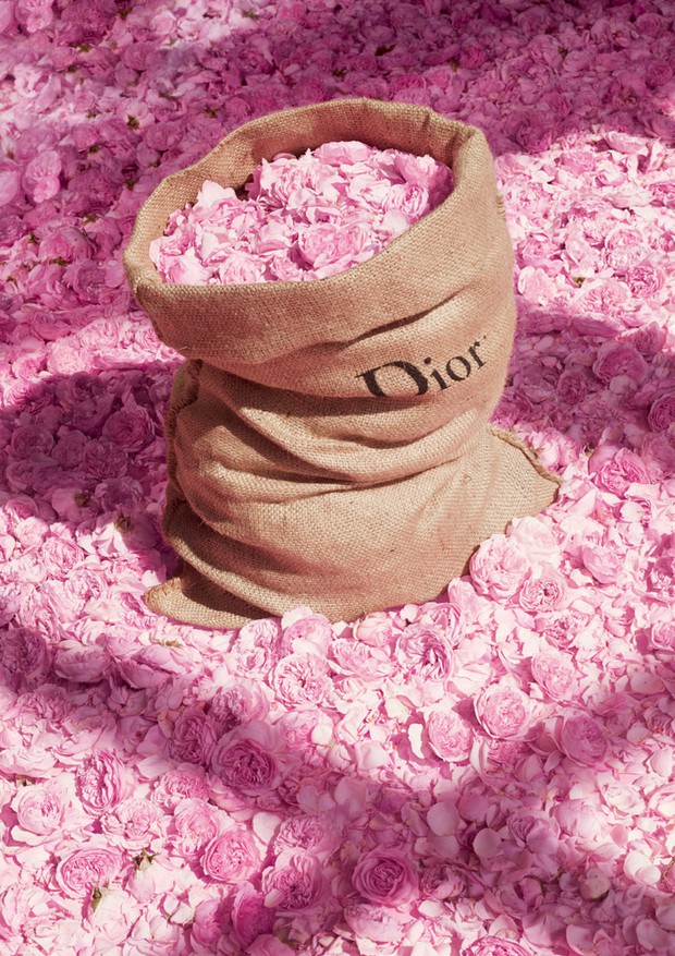 A preferida (Foto: Christian Dior Parfums collection, Antoine Kralik para Christian Dior Parfums e Divulgação)
