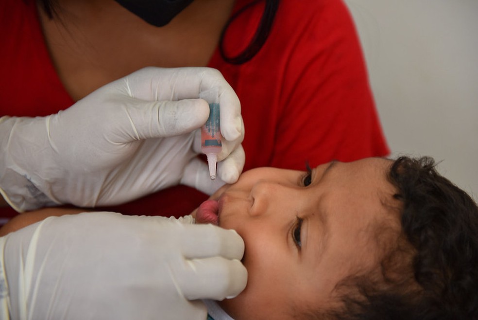 Vacina da pólio é dada por meio de uma gotinha — Foto: Prefeitura de Boa Vista/Divulgação