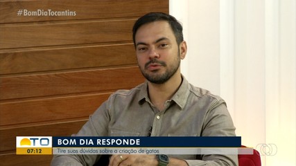Veterinário explica comportamentos dos gatos no Bom Dia Responde