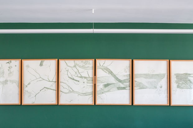 Verde até no teto: pintura realça décor e obras de arte  (Foto: Haruo Mikami)