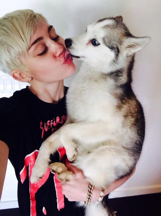 Miley Cyrus e seu cachorro (Foto: Twitter/ @MileyCyrus/ Reprodução)