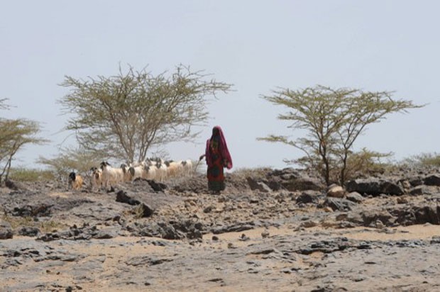 Imagem de arquivo mostra em outubro de 2009 mulher caminhando na aldeia de Lokwamosing, em Turkana, no extremo norte do Quênia. O governo do país e a Unesco anunciaram a descoberta de uma enorme oferta de água subterrânea na região (Foto: Simon Maina/AFP)