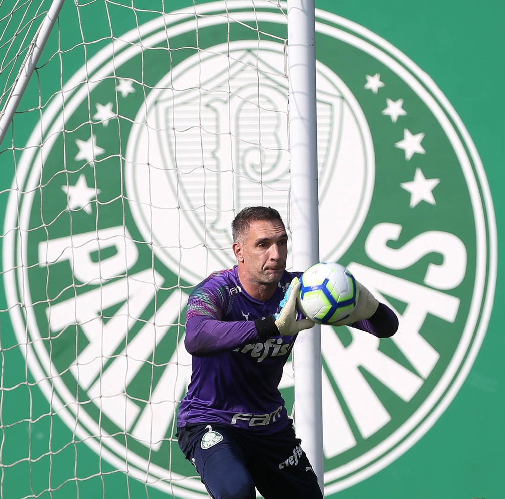 Fernando Prass tem contrato só até o fim de 2019 — Foto: Cesar Greco / Ag Palmeiras