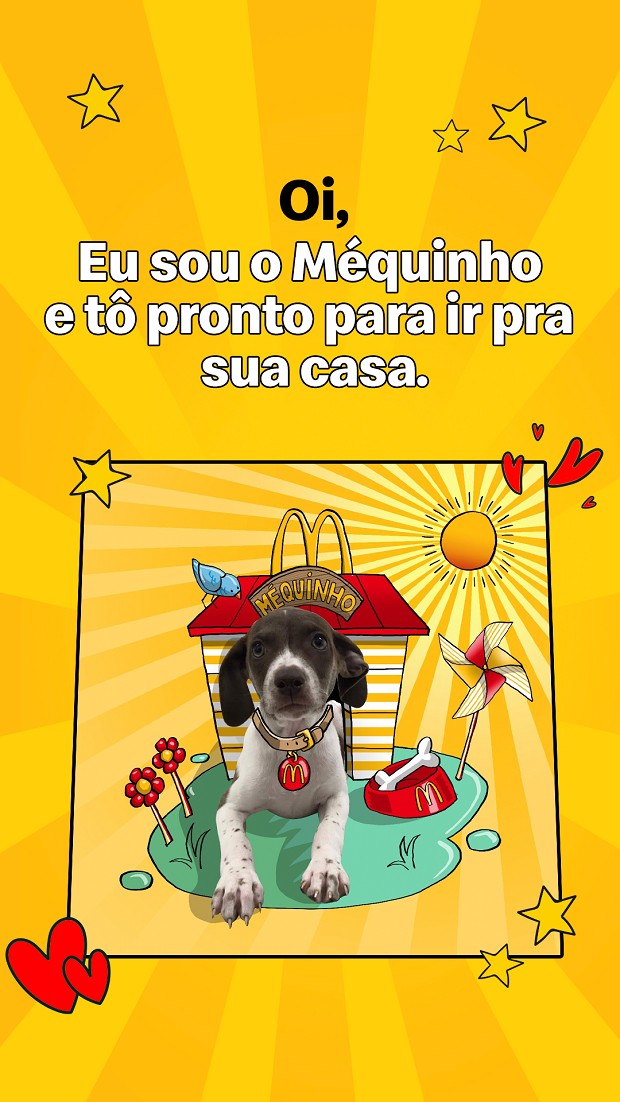 Campanha do McDonald's com a Zee.Dog para incentivar adoção de pets (Foto: Divulgação)