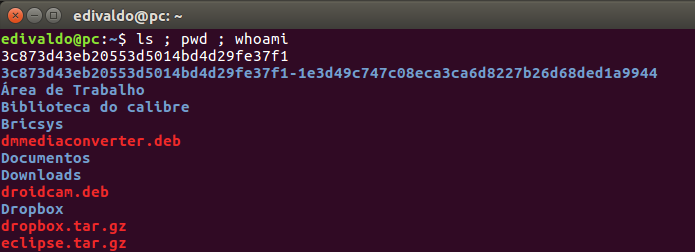 Executando três comandos em sequência no terminal do Linux (Foto: Reprodução/Edivaldo Brito)