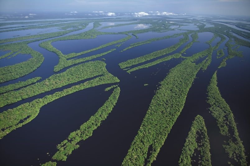 Vista áerea do Rio Negro, que perdeu 22% da superfície de água desde 1990 - Anavilhanas (AM)  (Foto: Getty Images)