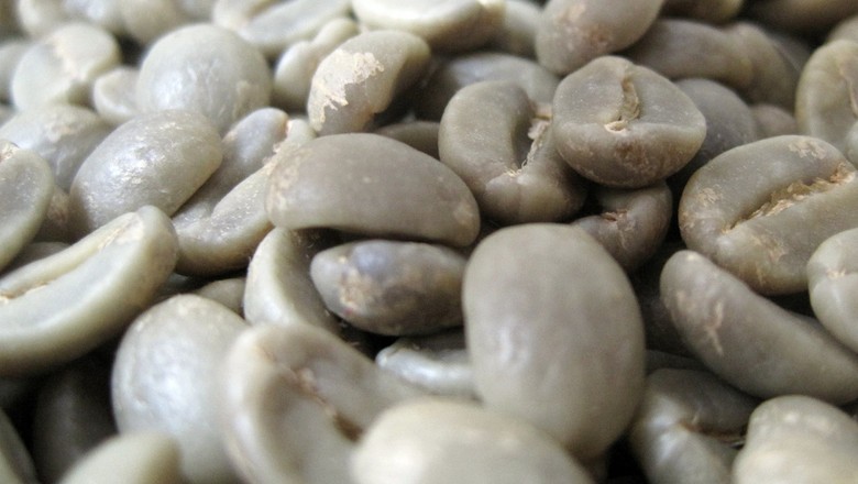 café-verde-commodity-agricola-grao (Foto: Michael Allen Smith/CCommons)