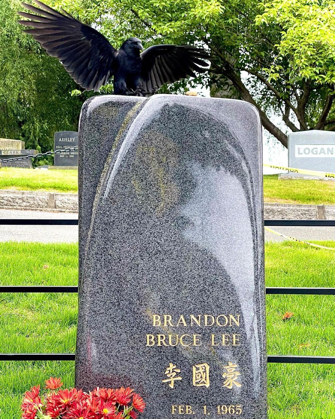 Foto de corvo pousando na lápide de Brandon Lee (Foto: Reprodução Instagram)