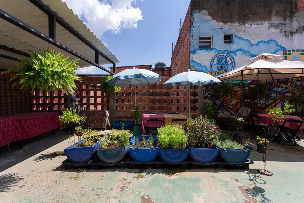Horta foi montada em espaço da União dos Moradores e Comerciantes de Paraisópolis — Foto: Marcelo Brandt/G1