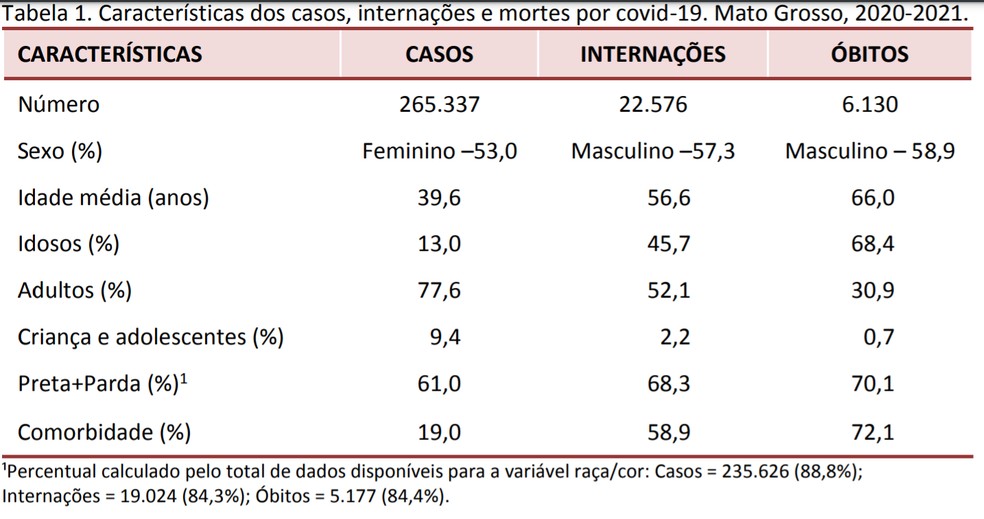 Perfil dos casos, internações e mortes por Covid-19 em MT em um ano de pandemia — Foto: Reprodução/UFMT