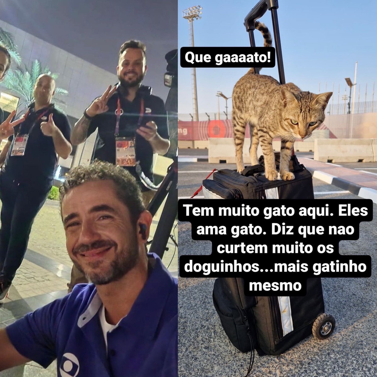 Felipe Andreoli se impressiona com quantidade de gatos em Doha, no 