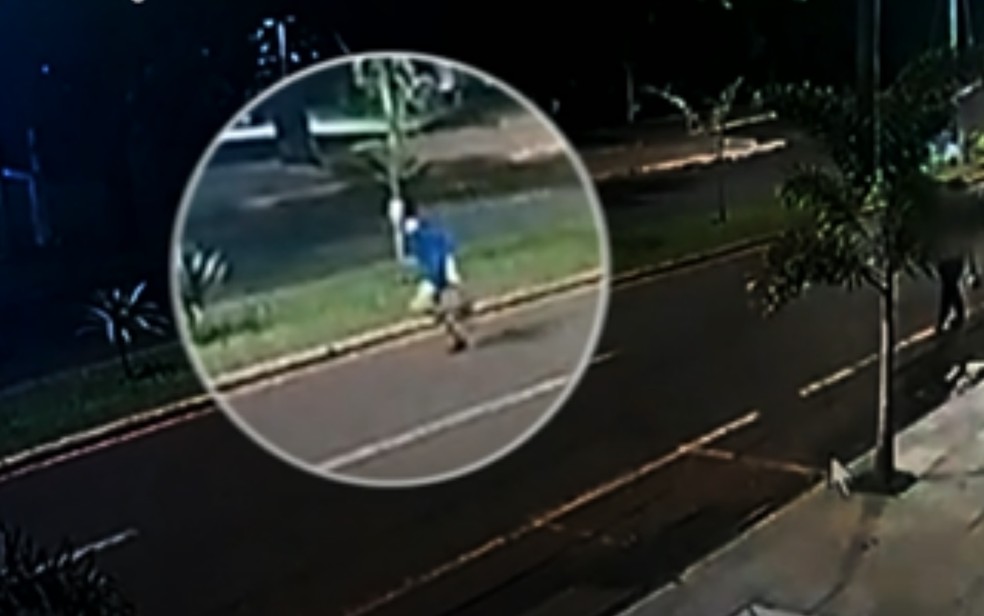 Vândalo destrói árvore de Natal em avenida de Itumbiara e foge correndo do local  — Foto: Reprodução/TV Anhanguera