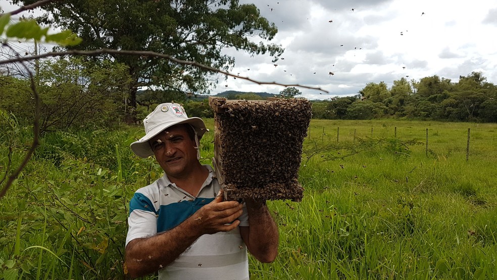 Professor de Apicultura e Meliponicultura da UFSJ, Deodoro Magno Brighenti dos Santos. — Foto: UFSJ/Divulgação