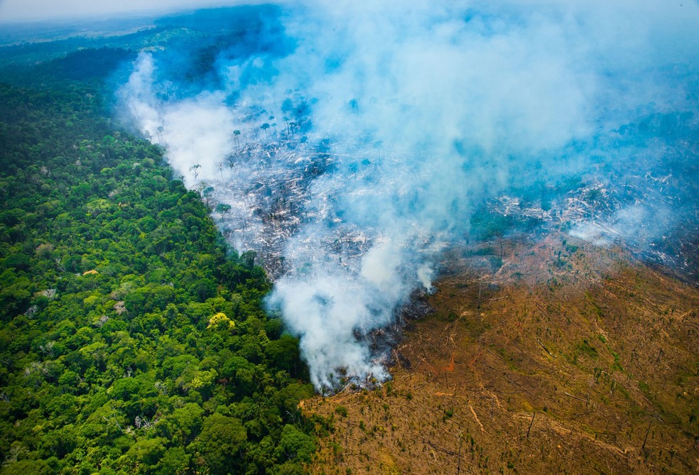 Pelo sétimo mês consecutivo, o Pará foi o responsável pela maior parte da devastação registrada na Amazônia em janeiro — Foto: Imazon
