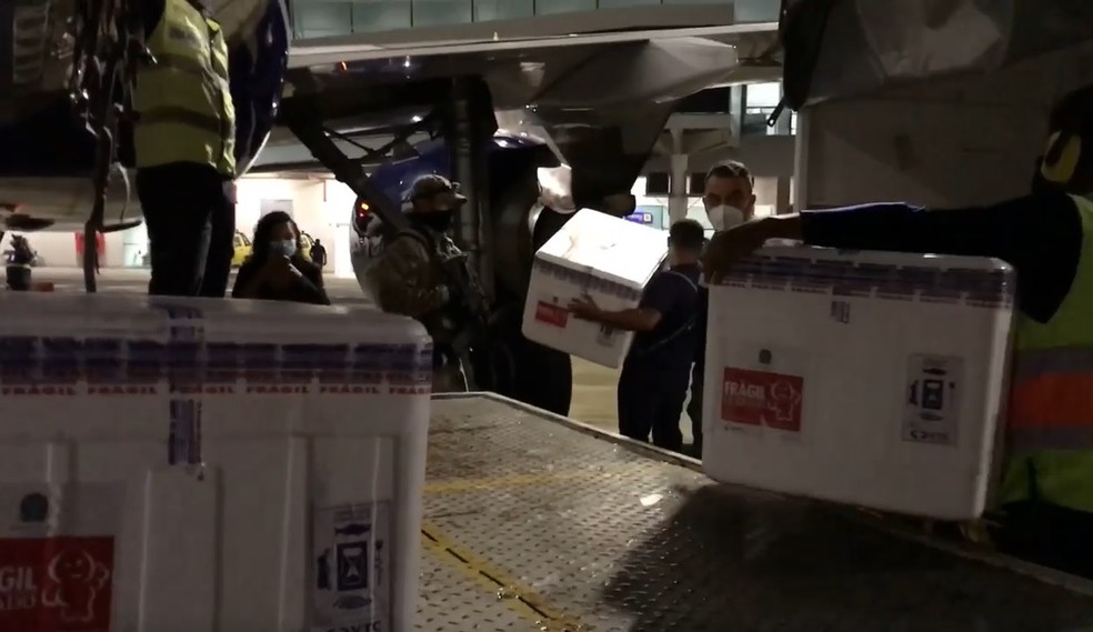 Carregamento chegou durante a madrugada &mdash; Foto: GEA/Divulga&ccedil;&atilde;o