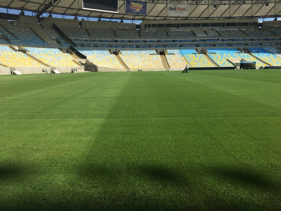 Gramado do Maracan&atilde; para Flamengo x Galo &mdash; Foto: Divulga&ccedil;&atilde;o