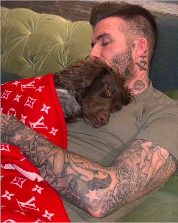 A foto compartilhada por Victoria Beckham mostrando o marido dela, David Beckham, com a cachorrinha dos dois coberta por uma manta avaliada em R$ 21 mil (Foto: Instagram)