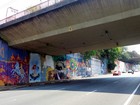 Muro em SP recebe pinturas em ação patrocinada após cobertura de grafite