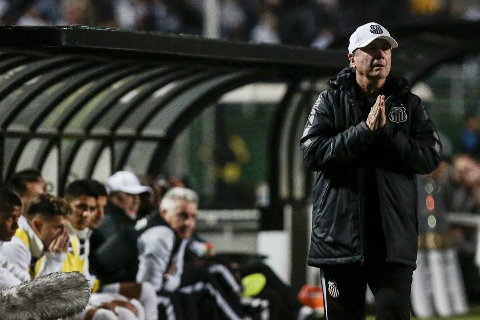 Levir minimiza sequência de empates do Santos (Foto: Agência Estado)