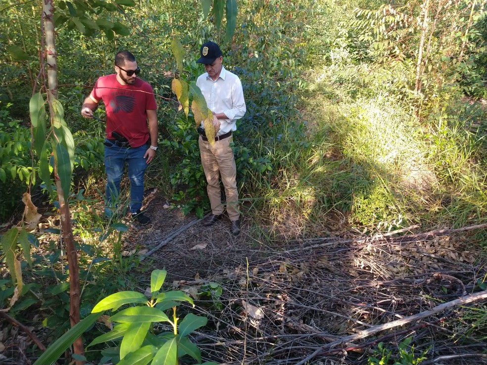 Corpo foi encontrado em uma propriedade rural de Itatinga — Foto: Polícia Civil/Divulgação
