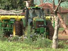 Cooperativas antecipam distribuição dos lucros do ano aos agricultores