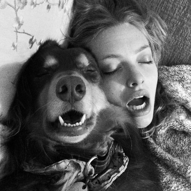 Amanda Seyfried e cão de estimação (Foto: Instagram)