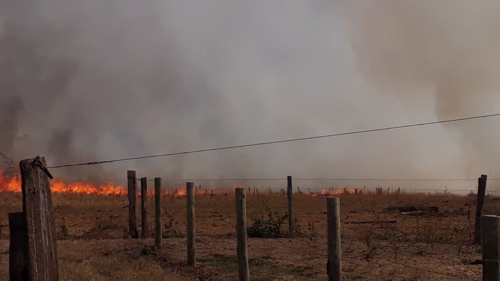 Focos de incêndio ainda não foram controlados — Foto: Prefeitura de Nova Ubiratã