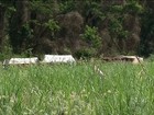 Índios guaranis-caioás têm até 26 de fevereiro para deixar área de fazenda